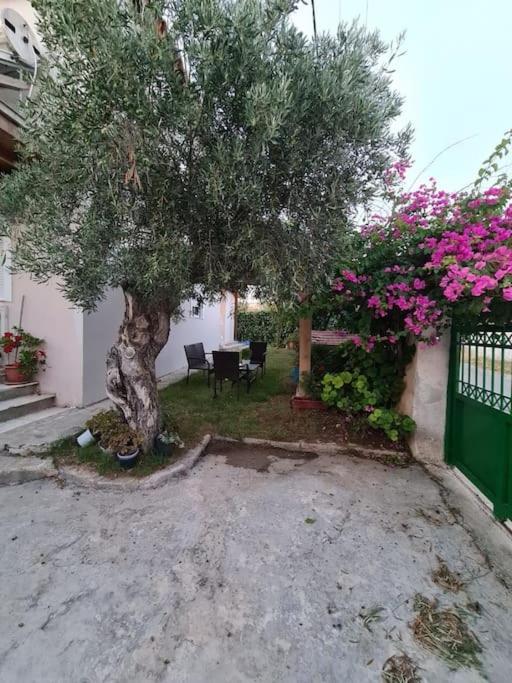 Semelia'S Guest House Spata  Exterior photo